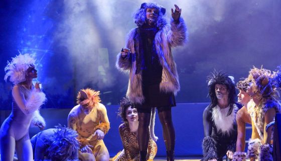 Шоу «12 мюзиклов»