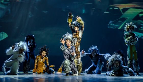 Шоу «12 мюзиклов»