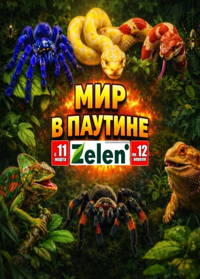 Выставка пауков и рептилий «Мир в паутине»